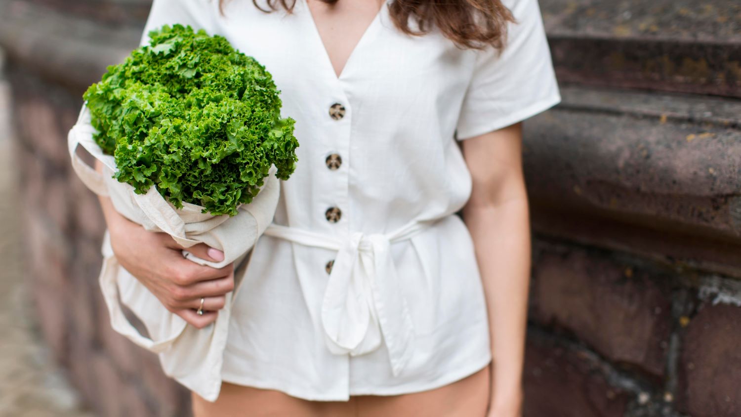 Exploring the Benefits of PlantBased ProteinsShape Discover the Power of Plant-Based Proteins