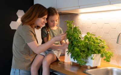 The Importance of Mindful Eating in Modern Life 