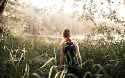 How Stress Impacts Digestion, Energy, and Cravings 